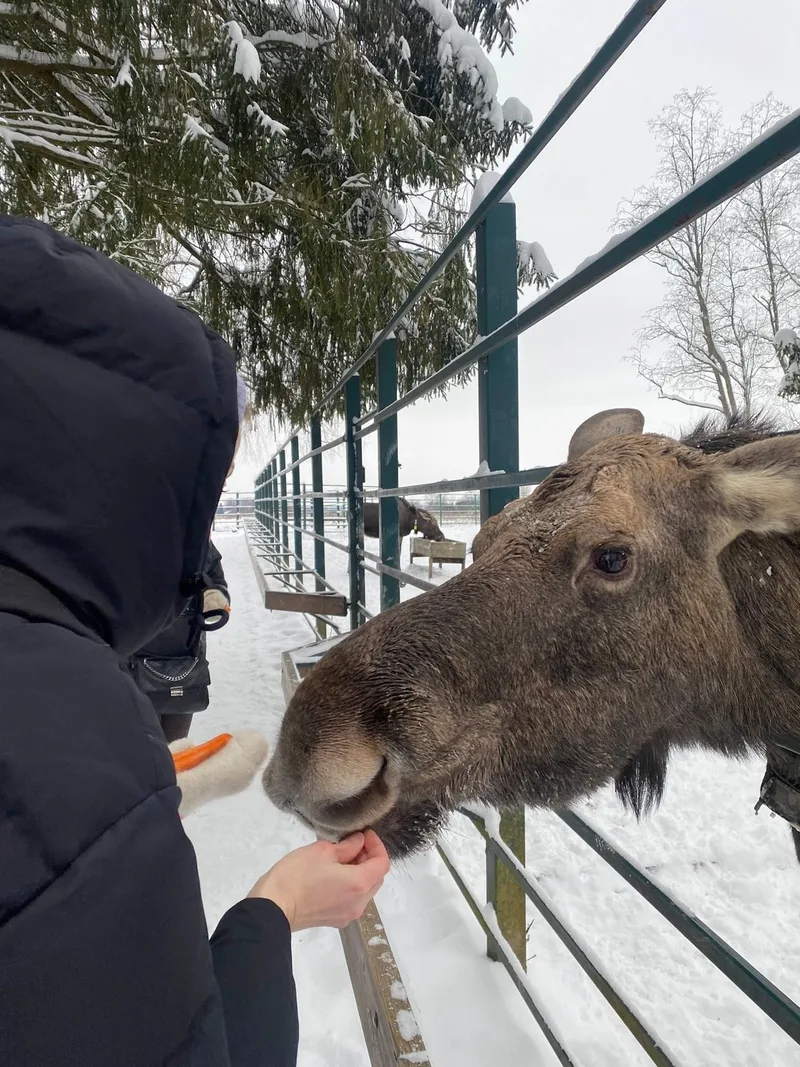 Ольга