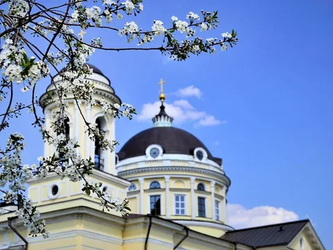 Околоколомна: Шкинь