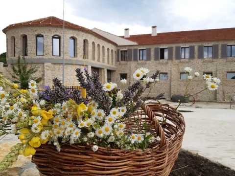 Лучший винный тур Chateau Andre: Прованс — удивительное рядом