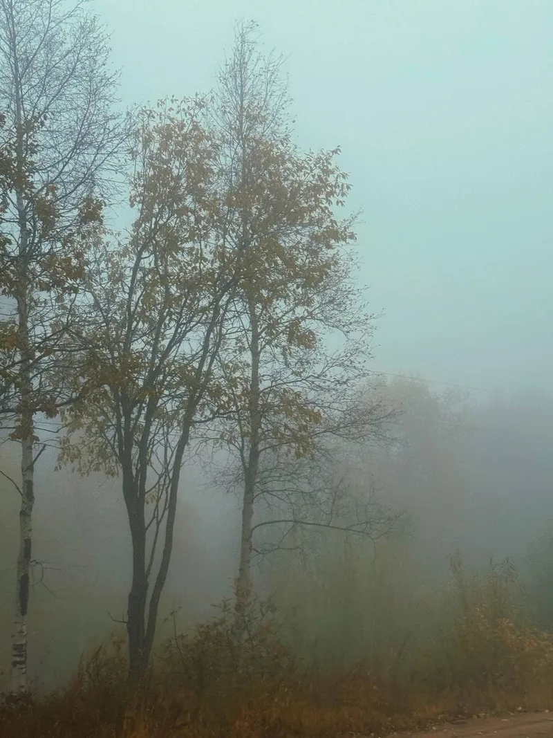 Ксения