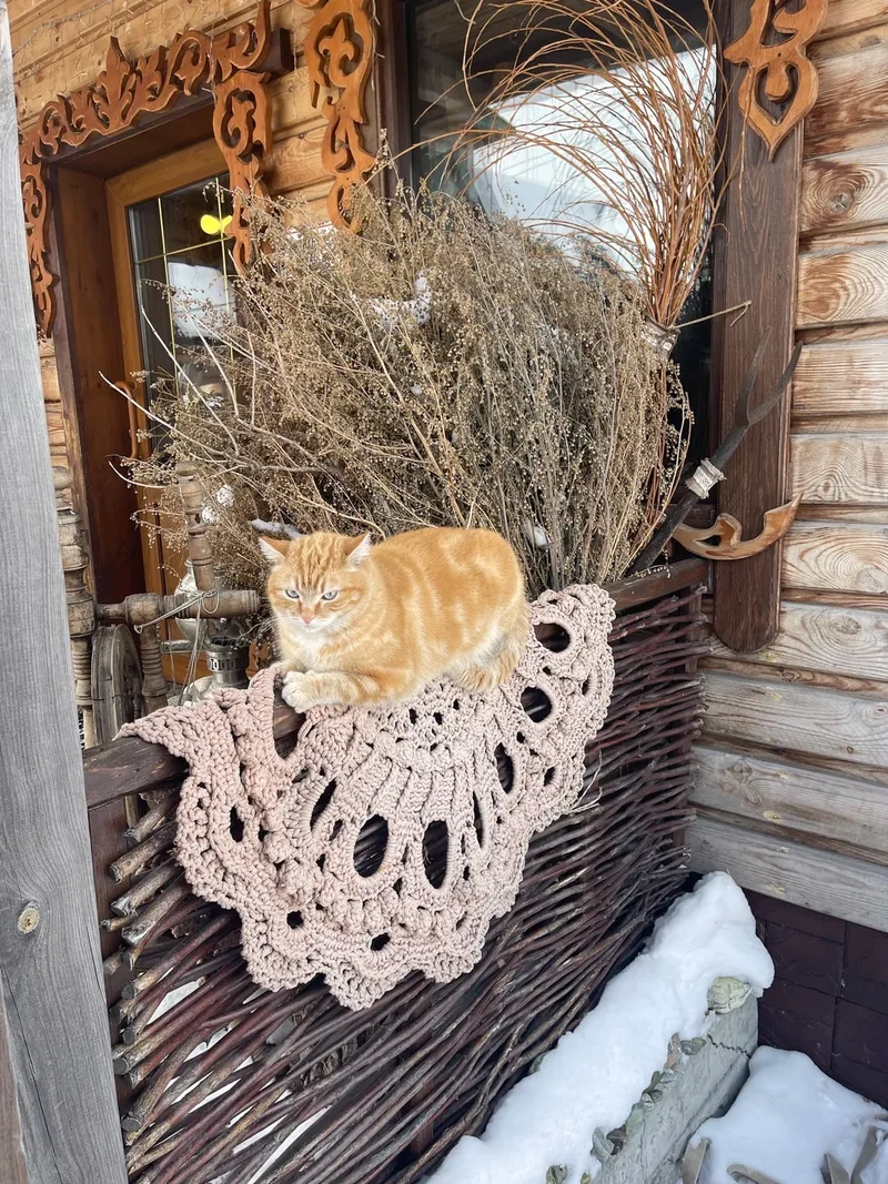 Алла