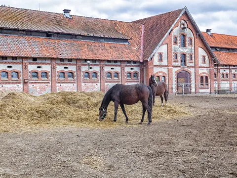 Экскурсия «Рыцарские замки Восточной Пруссии» (из Светлогорска)