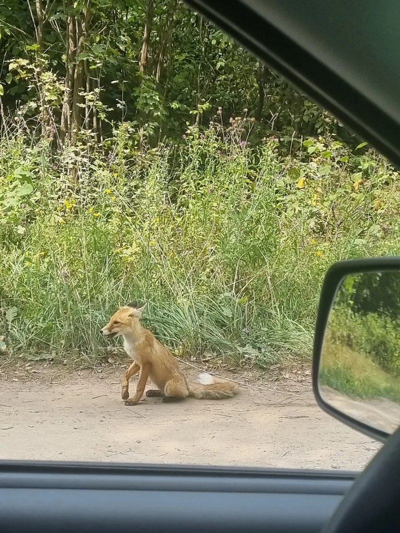 Ольга