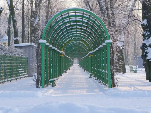 Летний сад: прогулка по старейшему парку Петербурга