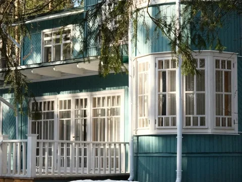 Переделкино с местным жителем и членом Союза писателей
