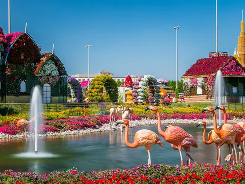 Парк цветов Miracle Garden и всемирная ярмарка Global Village из Фуджейры