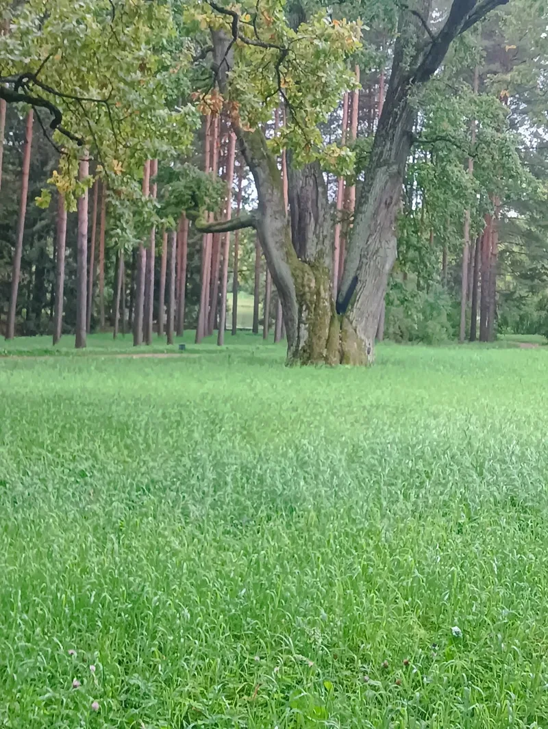 Александр