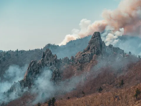 Приморские Мальдивы: 2 дня по Находке и Долина Атлантов