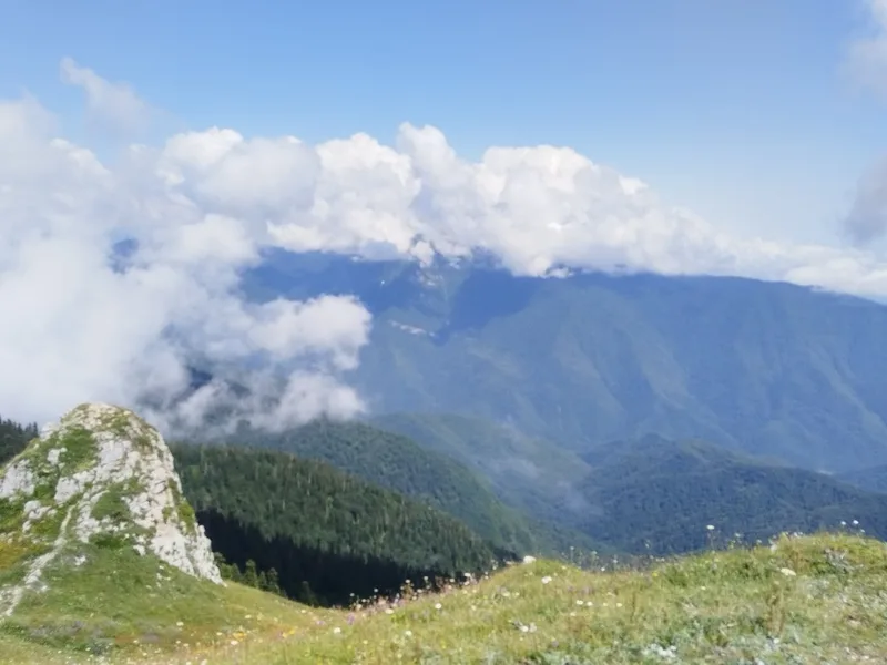 Светлана