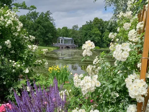 Из Петербурга — в Царское Село: Дворец, Парк и Лицей