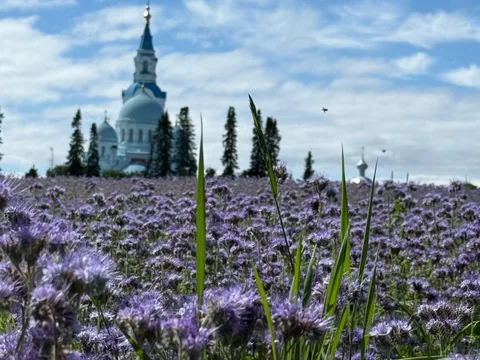 Путешествие на Валаам и к Ладожским шхерам на катере