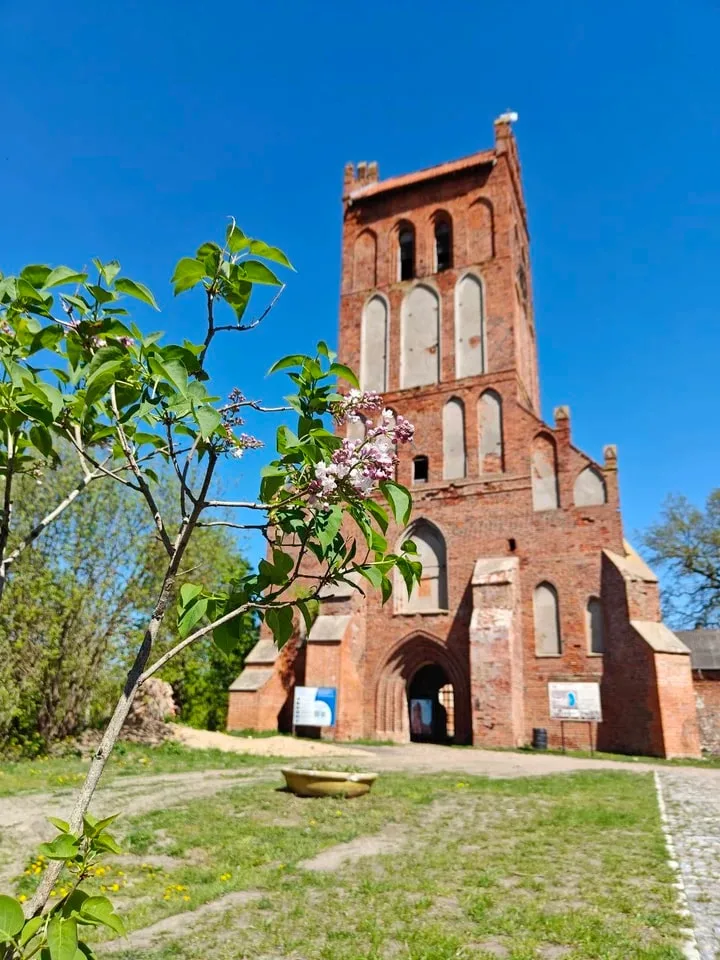 Дарья