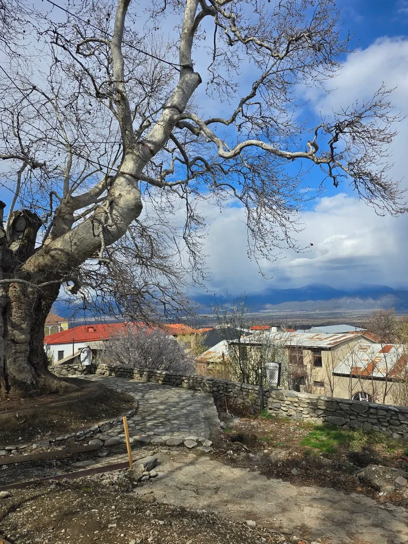 Наталья