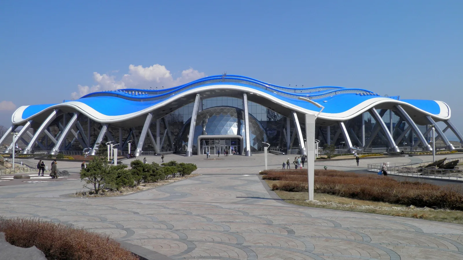 Океанариум и фотопрогулка по набережной центра отдыха Новик