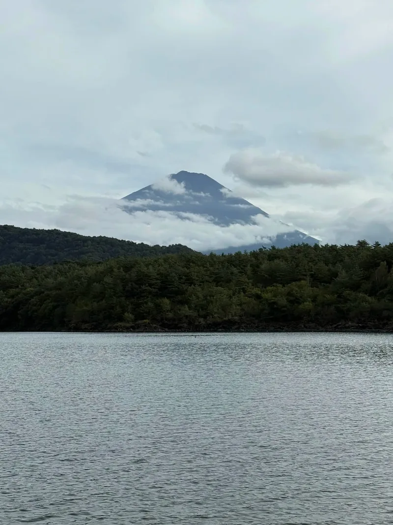 Злата