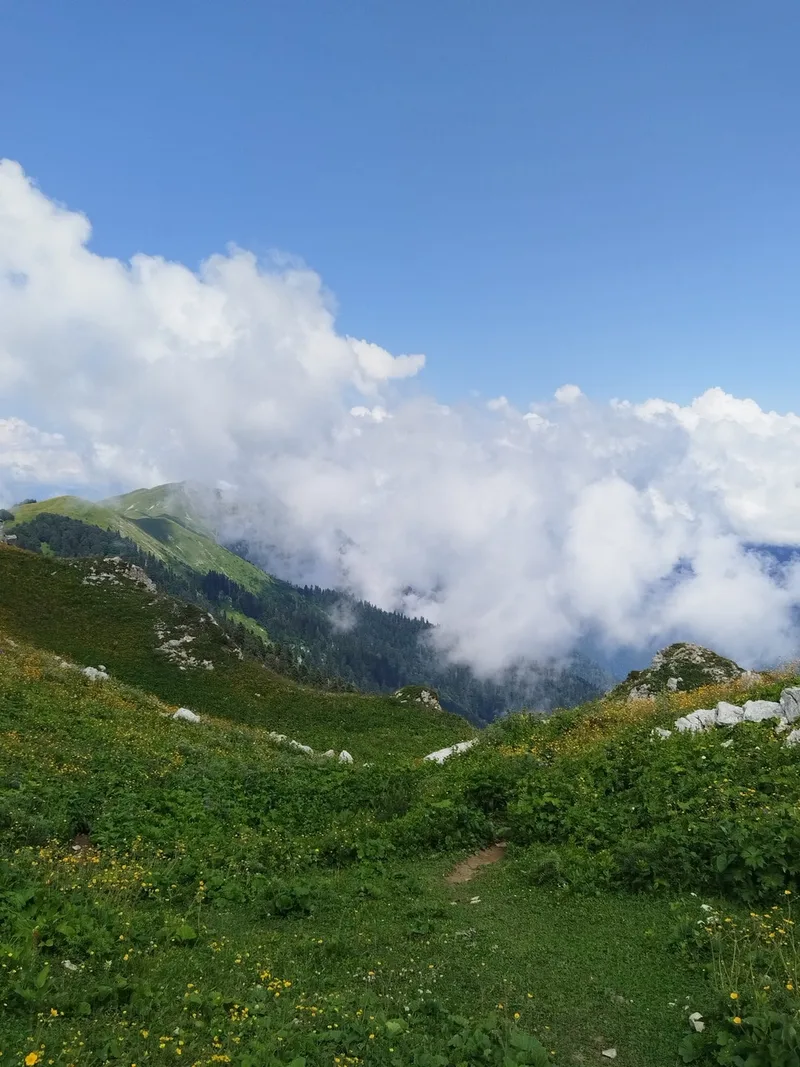 Светлана