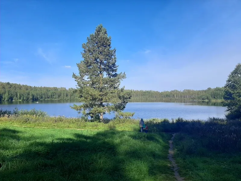 Егорова