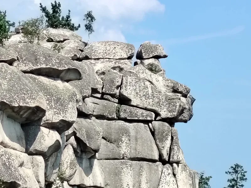Вадим