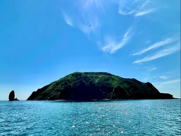 Морская прогулка к острову Старичков (мини-группа)