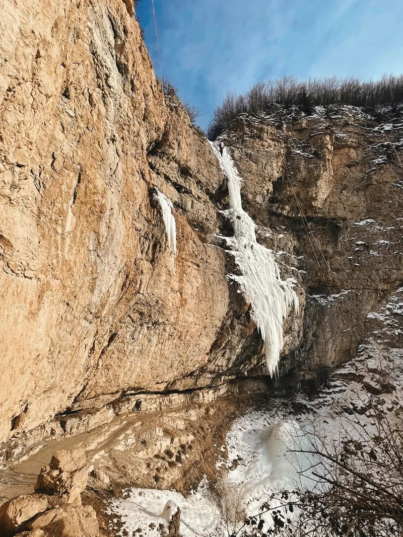 Дарья