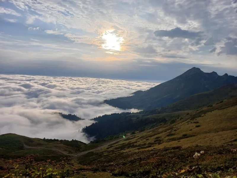 Валентина