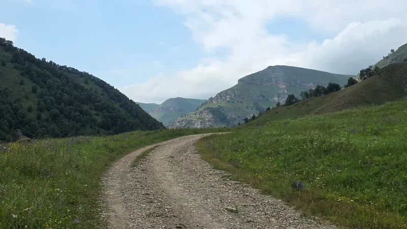 Никонова