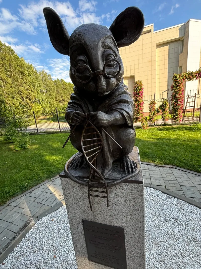 Мария
