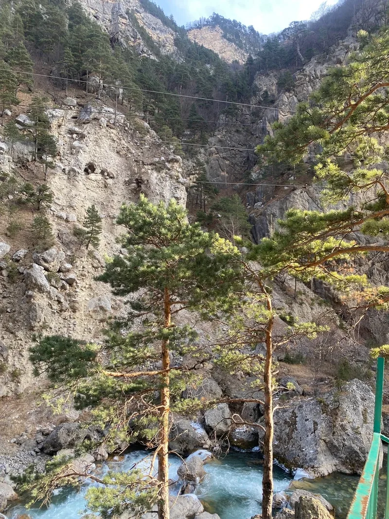 Виктория