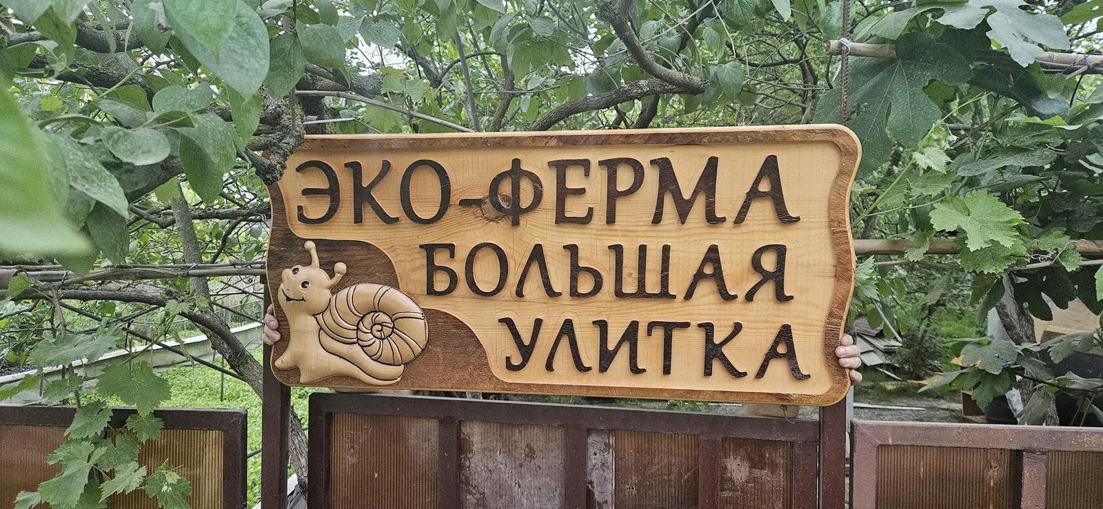 Эко-ферма «Большая улитка» — первая уличтоная ферма в АдлереВсе включено.