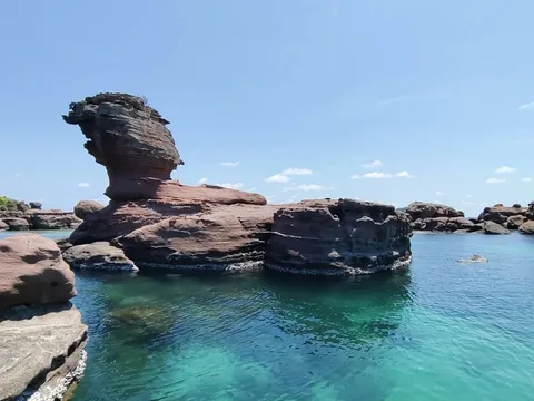 Морская одиссея: пять островов Фукуока (всё включено)