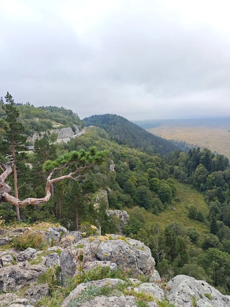Наталья