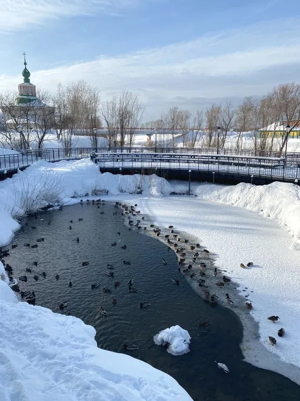 А в чём же соль? Из Перми — в Соликамск