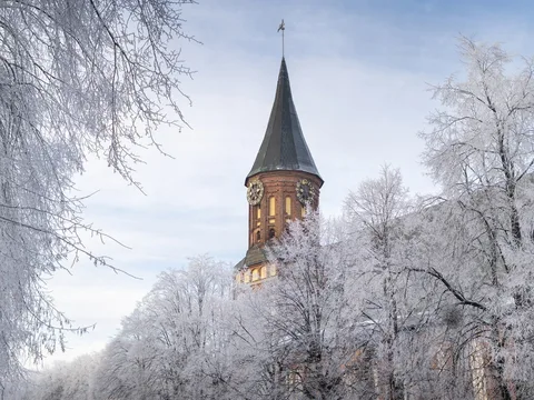 История Кёнигсберга–Калининграда (из Пионерского)
