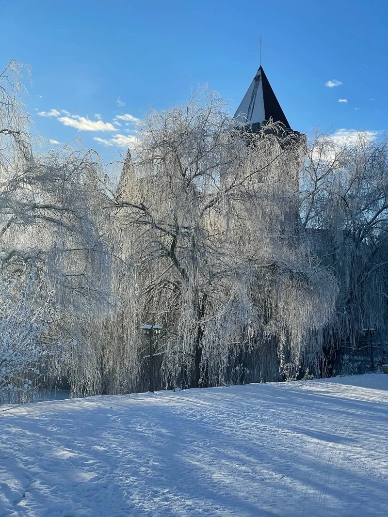 Роман
