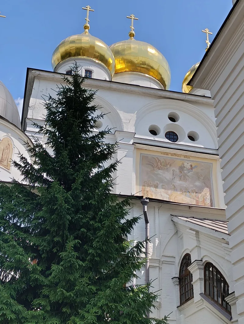 Алиса