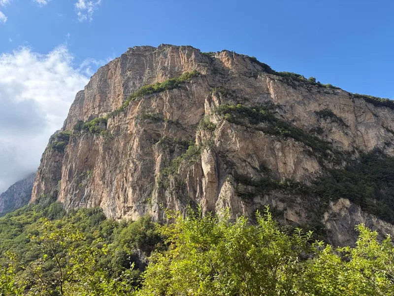 Карина