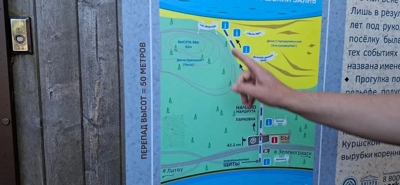 Наталья