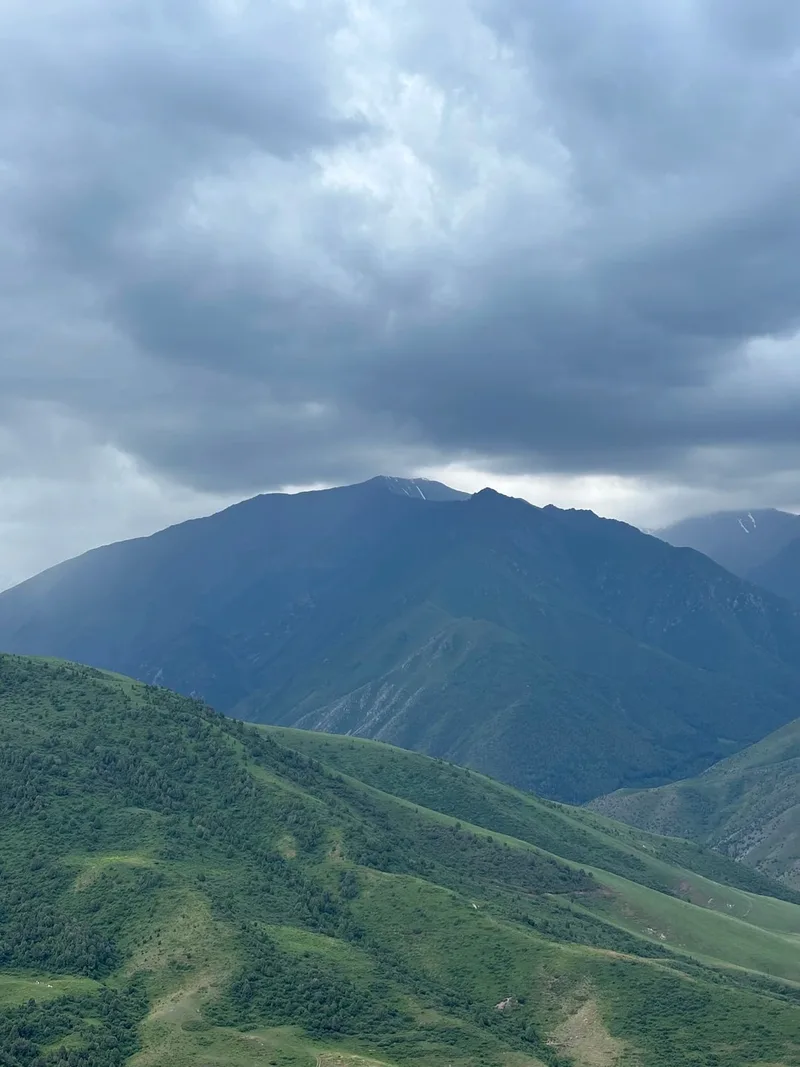 Лариса