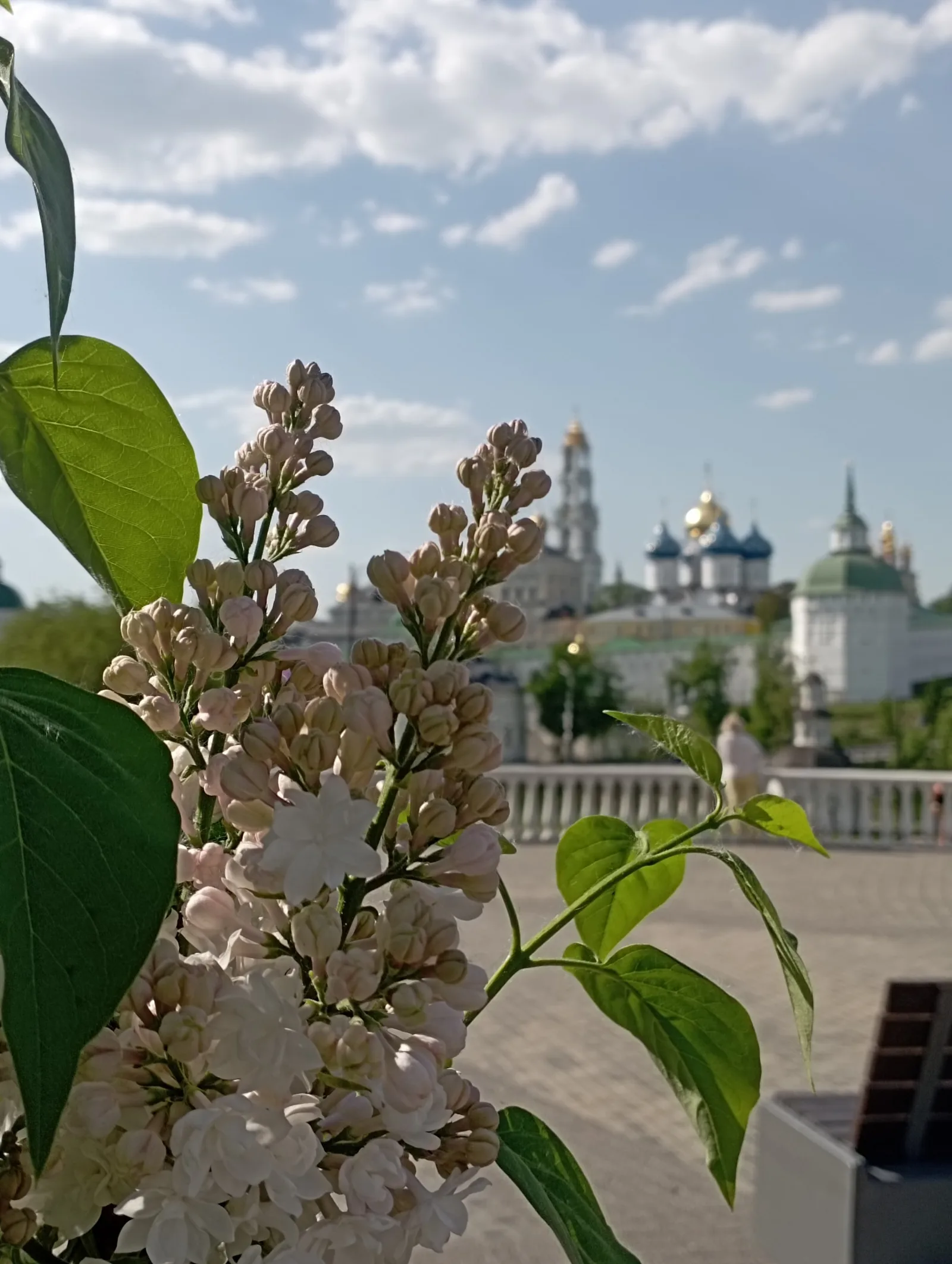 От Радонежа до Маковца: индивидуальный автомобильный тур по святым местам