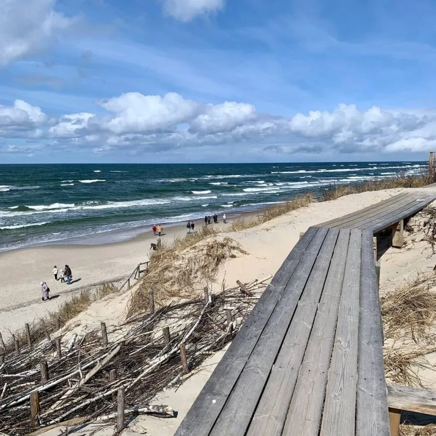 Куршская коса, Зеленоградск и дегустация в сыроварне Шаакен Дорф