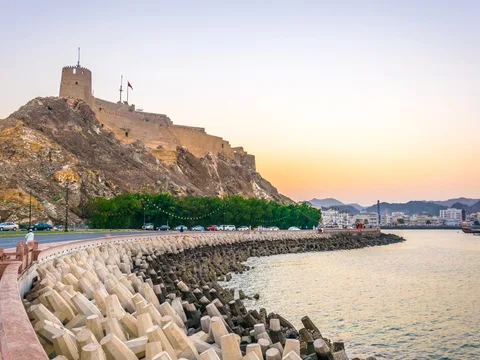 Дельфины, базар и древности в Маскате