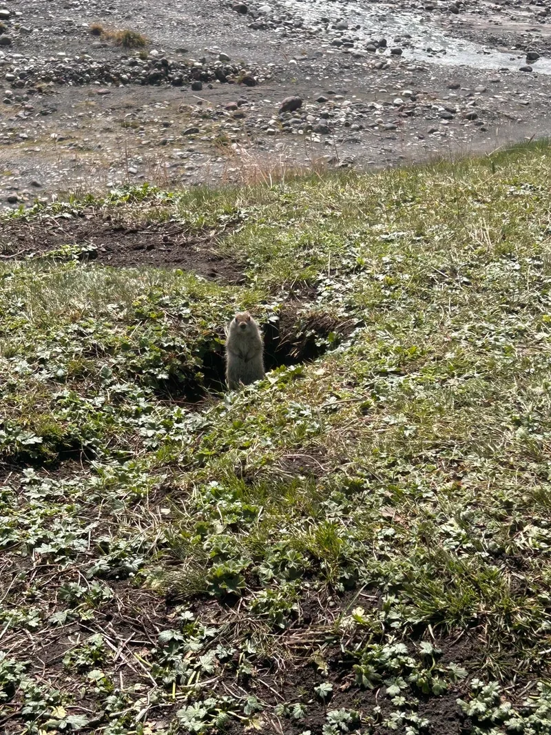 Анастасия