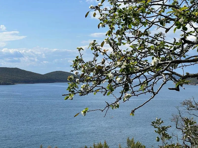 Павел