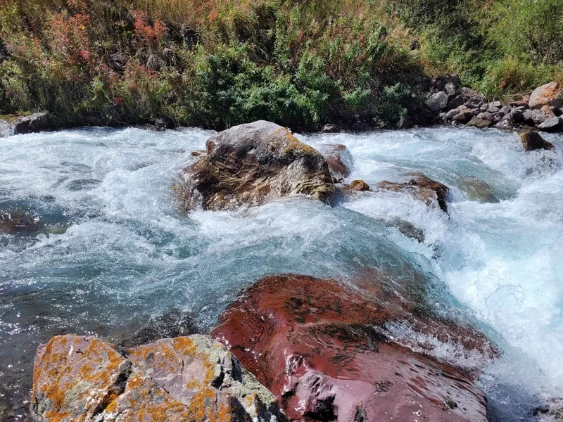 Николай