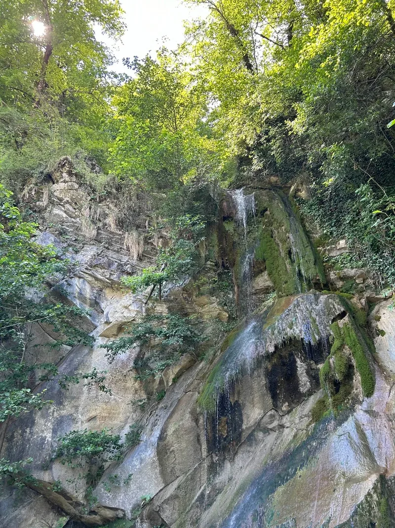 Кирилл