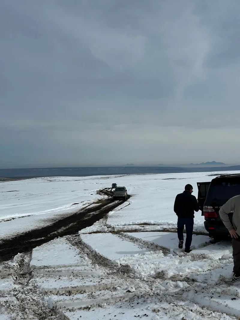 Дарья