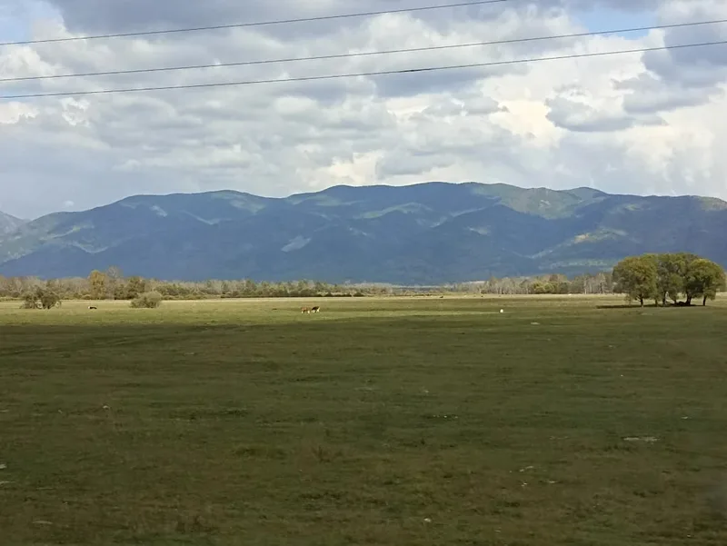 Светлана