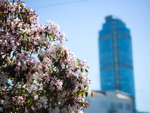 Обзорная экскурсия по Екатеринбургу