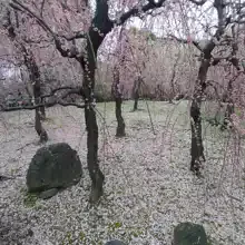 Олег