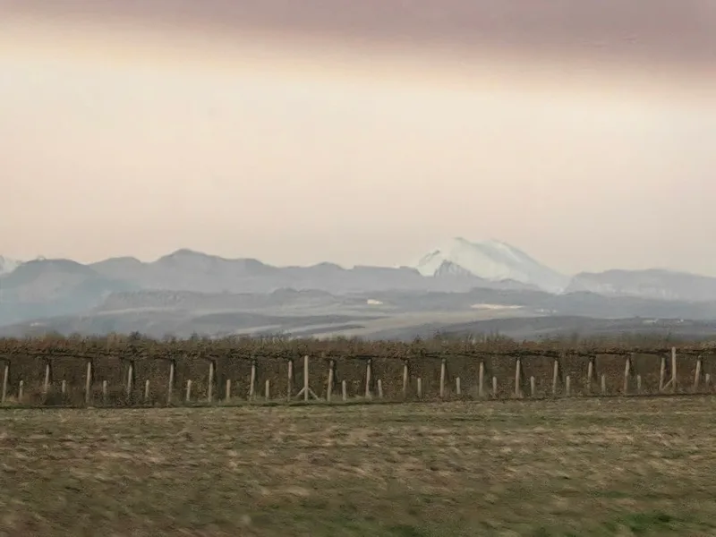 Жанна